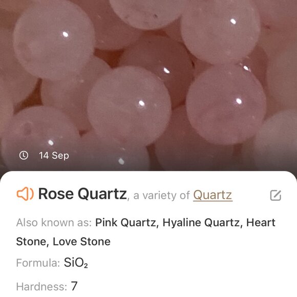 Natural Pink Rose Quartz Necklace, Bronze Leaf Branch + Genuine Gemstone Choker - Picture 13 of 14